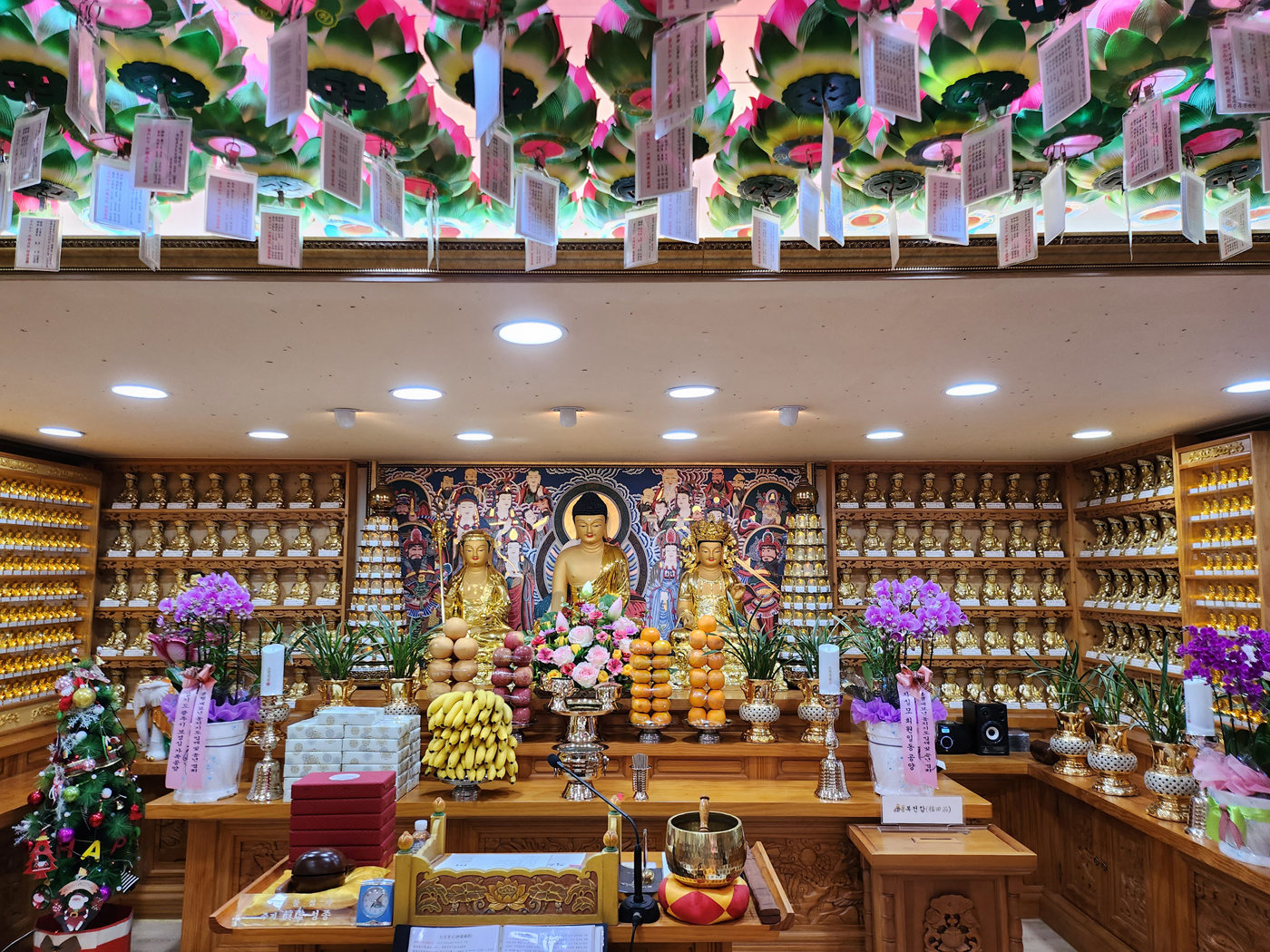 ����ũ��� ����