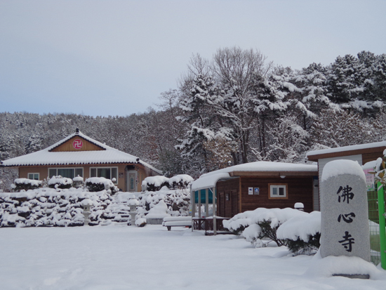 ����ũ��� ����