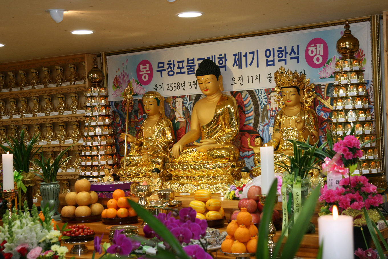 ����ũ��� ����