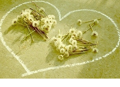 ����ũ��� ����