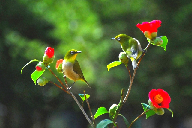 ����ũ��� ����