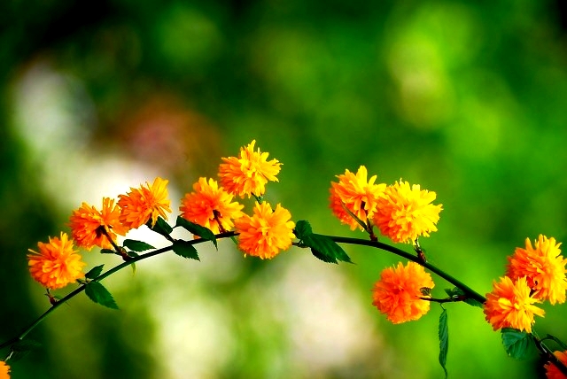 ����ũ��� ����