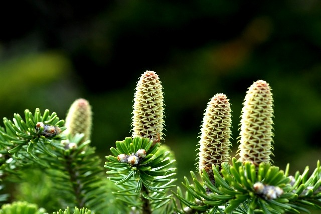 ����ũ��� ����