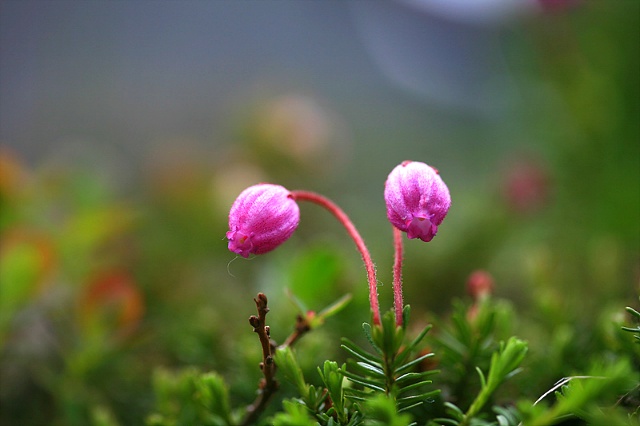 ����ũ��� ����