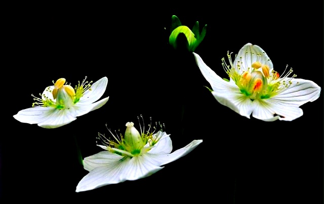 ����ũ��� ����