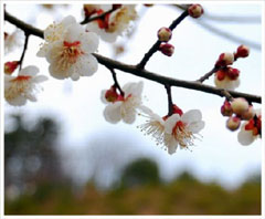 ����ũ��� ����