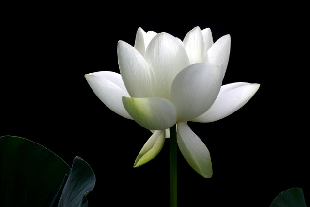 ����ũ��� ����