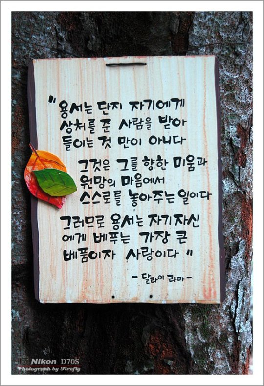 ����ũ��� ����