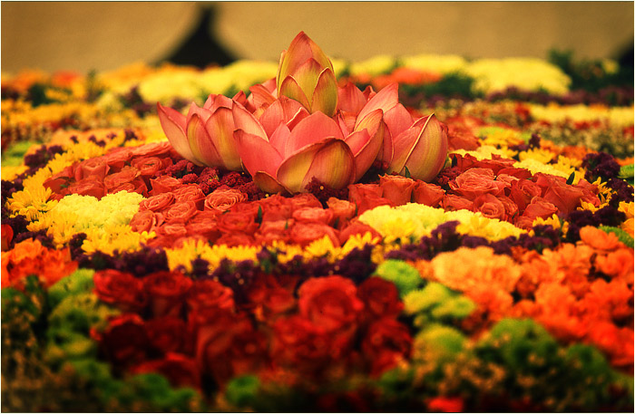 ����ũ��� ����