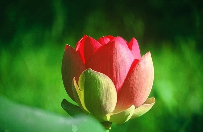 ����ũ��� ����