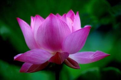 ����ũ��� ����