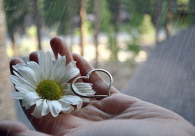 ����ũ��� ����