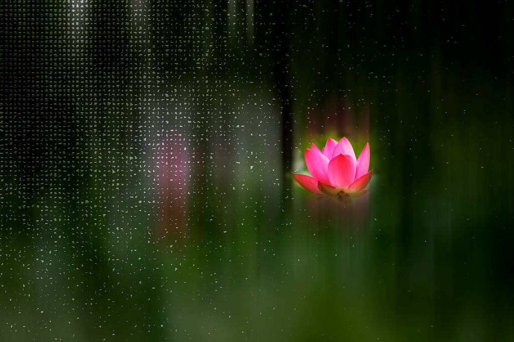 ����ũ��� ����