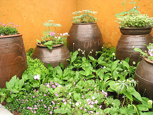 ����ũ��� ����