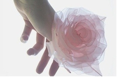 ����ũ��� ����