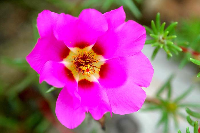 ����ũ��� ����