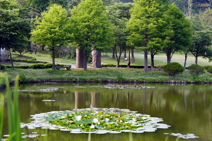 ����ũ��� ����