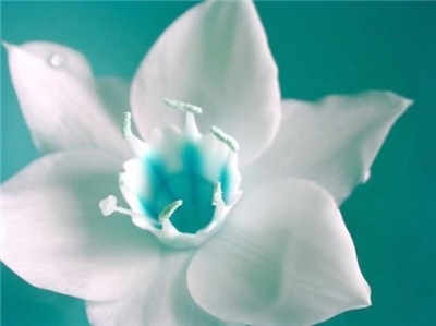 ����ũ��� ����