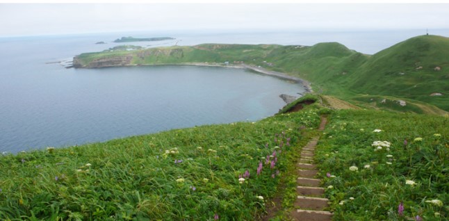 ����ũ��� ����