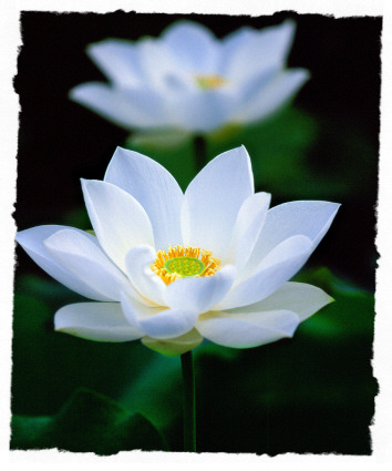 ����ũ��� ����