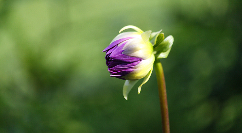 ����ũ��� ����