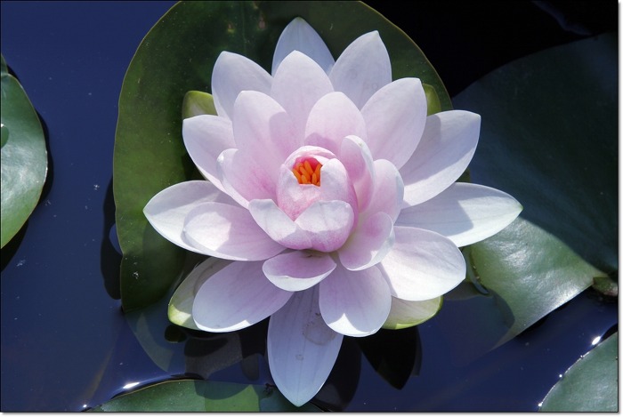 ����ũ��� ����