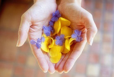 ����ũ��� ����