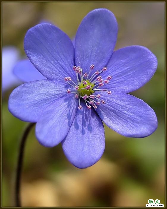 ����ũ��� ����