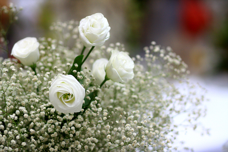 ����ũ��� ����