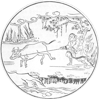 ����ũ��� ����