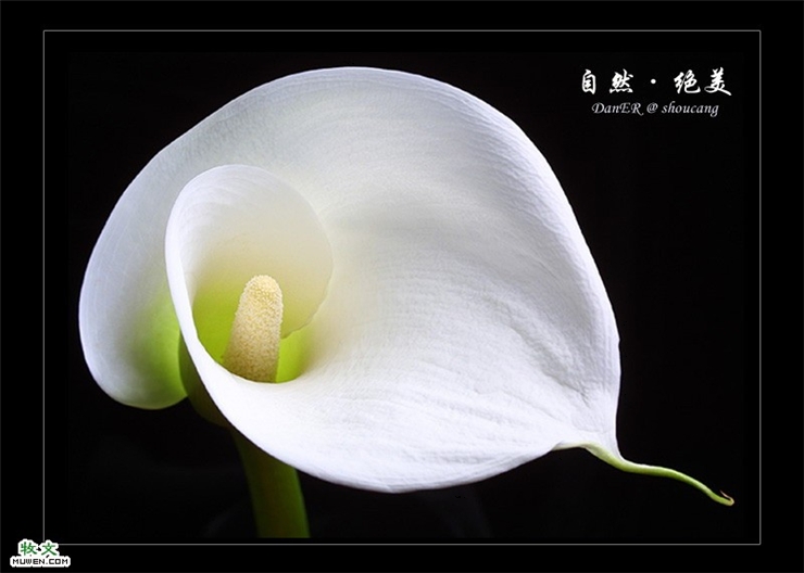 ����ũ��� ����