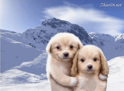 ����ũ��� ����