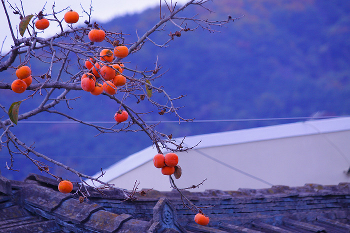 ����ũ��� ����