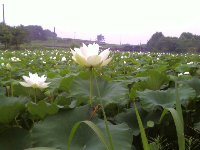 ����ũ��� ����