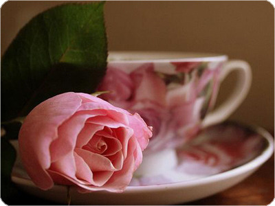 ����ũ��� ����