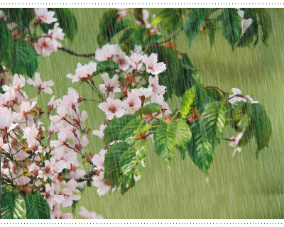 ����ũ��� ����