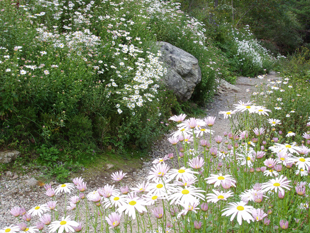 ����ũ��� ����