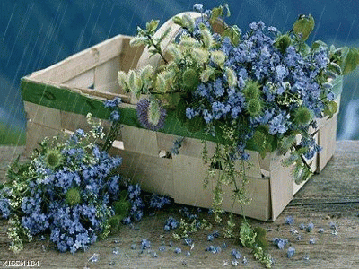 ����ũ��� ����