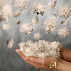 ����ũ��� ����