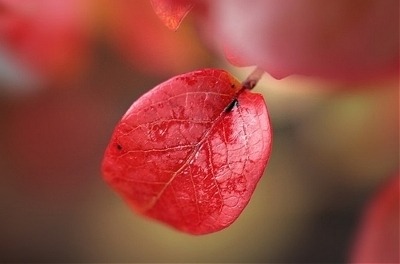 ����ũ��� ����