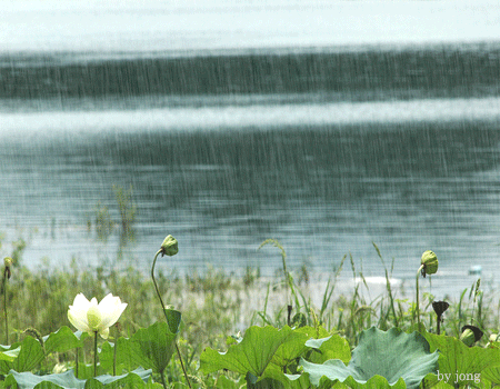 ����ũ��� ����