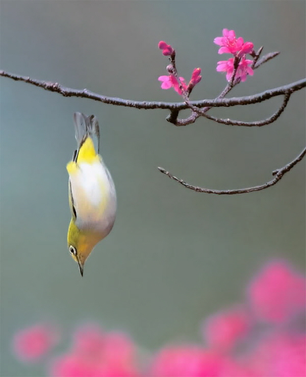 ����ũ��� ����