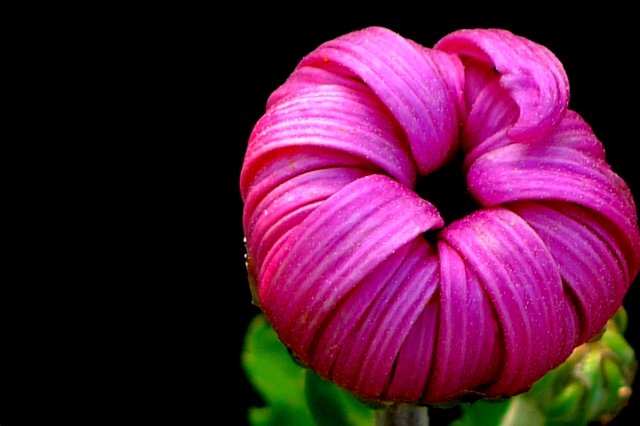 ����ũ��� ����