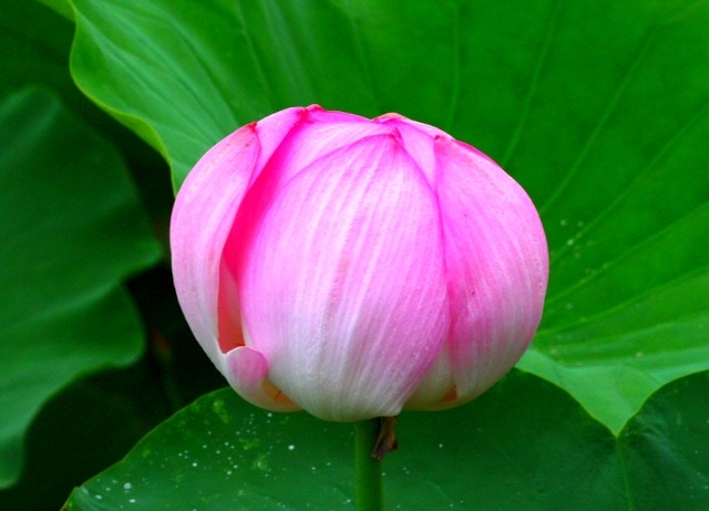 ����ũ��� ����