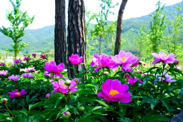 ����ũ��� ����