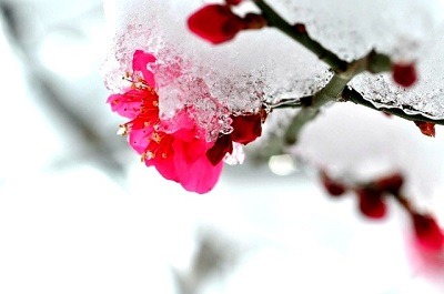 ����ũ��� ����