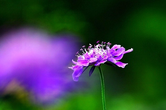 ����ũ��� ����