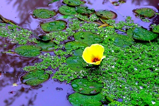 ����ũ��� ����