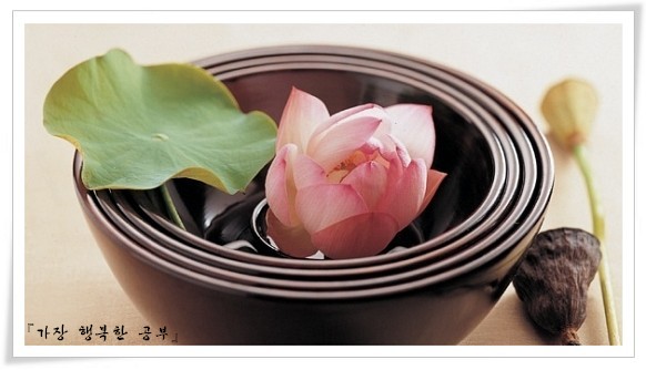 ����ũ��� ����