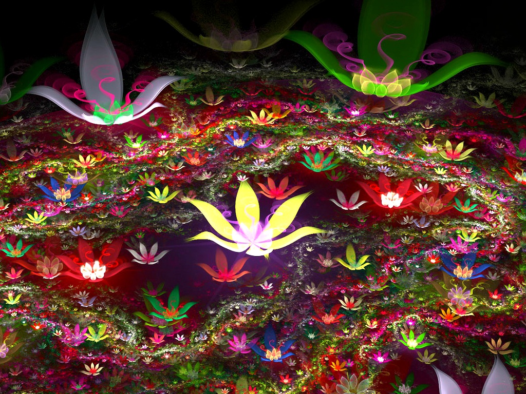 ����ũ��� ����